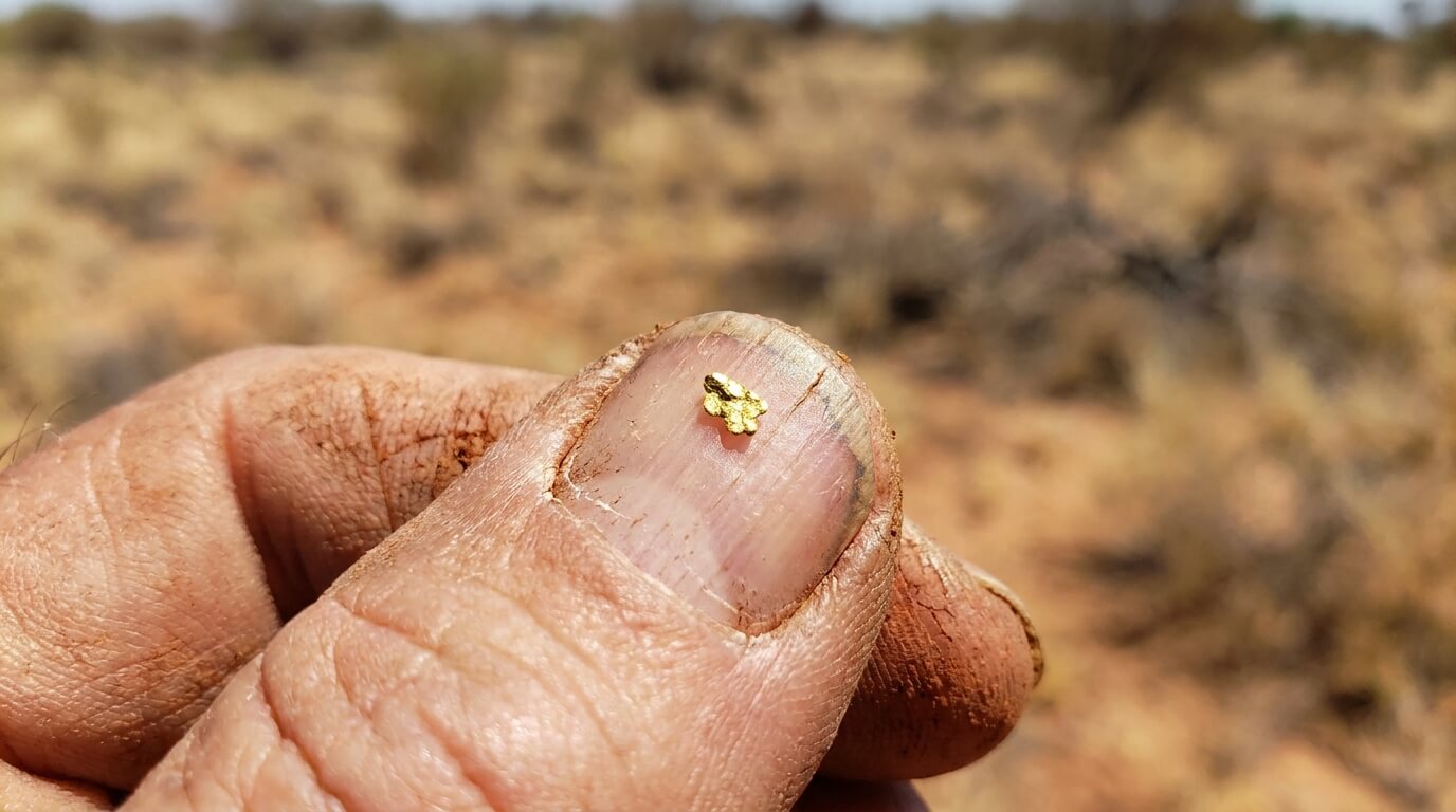 Sub-gram gold nugget recovered with a metal detector in the WA goldfields
